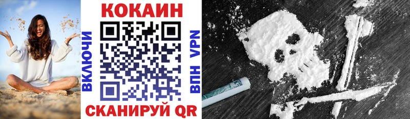COCAIN FishScale  где купить   Ладушкин 