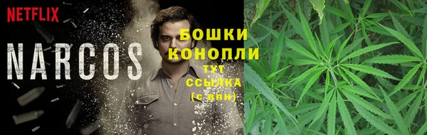 гидра Баксан